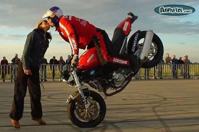 Abruti a 100 pour 100